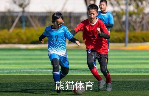 了解熊猫体育